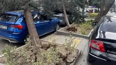 Ankara'da Şiddetli Rüzgar: Ağaçlar Devrildi, Uçan Çatılar Hasara Yol Açtı
