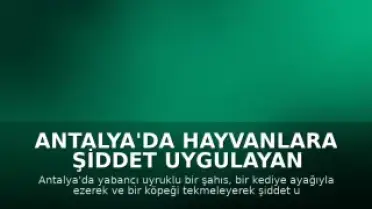 Antalya'da Hayvanlara Şiddet Uygulayan Yabancı Uyruklu Şahıs Gözaltına Alındı