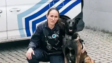 Belçika'da Köpeklere Özel Menü Sunan Beach Bar Açıldı