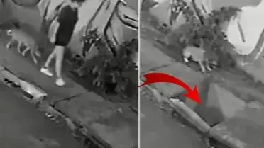 Brezilya'da Rögar Kapağı Kırıldı, Genç Kadın Kanalizasyona Düştü