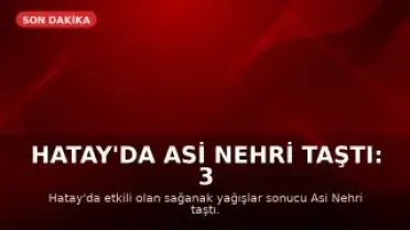 Hatay'da Asi Nehri Taştı: 3 Kişi Hayatını Kaybetti, 3 Yaralı, 2 Kayıp