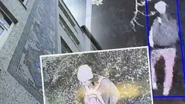 İstanbul'da Doktor A.Ö.K. Dördüncü Kattan Düştü: Entübe Edildi