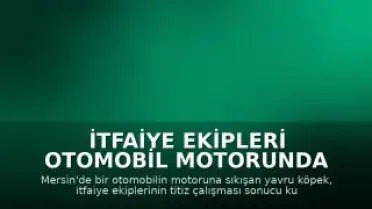 İtfaiye Ekipleri Otomobil Motorunda Sıkışan Yavru Köpeği Kurtardı