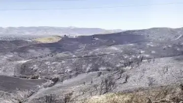 Kaliforniya'da Orman Yangını Günlerdir Sürüyor, Binlerce Kişi Tahliye Edildi