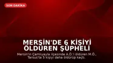 Mersin'de 6 Kişiyi Öldüren Şüpheli İntihar Etti