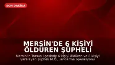 Mersin'de 6 Kişiyi Öldüren Şüpheli İntihar Etti