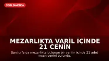 Mezarlıkta Varil İçinde 21 Cenin Bulundu