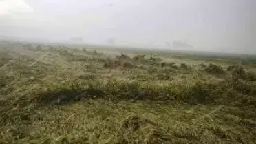 Osmaniye'de Sağanak Nedeniyle Sular Altında Kalan Evden Yaşlı Kadın Kurtarıldı