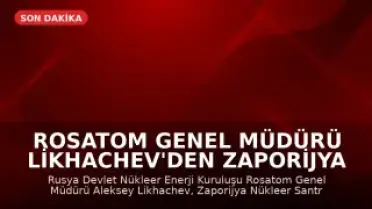 Rosatom Genel Müdürü Likhachev'den Zaporijya Nükleer Santrali İçin Tehlike Uyarısı