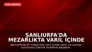 Şanlıurfa'da Mezarlıkta Varil İçinde Cenin Bulunmasıyla İlgili İnceleme Başlatıldı