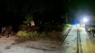 Tokat'ta Köy Sakinleri Taşkın Riski Nedeniyle Tahliye Ediliyor