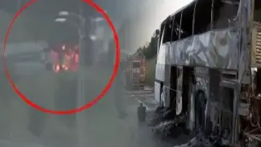 Tuzla'da Tur Otobüsü Motor Kısmından Alev Aldı: 43 Yolcu Tahliye Edildi