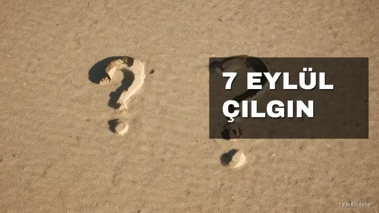 7 Eylül Çılgın Sayısal Loto Sonuçları Açıklandı mı? MPİ Sonuç Sorgulama Ekranı