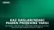 Kaz Dağları'ndaki Maden Projesine Yargı Engeli: ÇED Kararı İptal Edildi