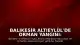 Balıkesir Altıeylül'de Orman Yangını: Ekiplerin Müdahalesi Sürüyor