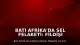 Batı Afrika'da Sel Felaketi: Fildişi Sahili ve Gana'da Can Kaybı Artıyor