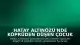 Hatay Altınözü'nde Köprüden Düşen Çocuk Yaralandı