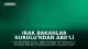 Irak Bakanlar Kurulu'ndan ABD'li Enerji Şirketleriyle Dev Petrol Anlaşmalarına Onay