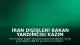 İran Dışişleri Bakan Yardımcısı Kazım Garibabadi: "Bölgenin güvenliği, ABD'nin bölgeden çekilmesiyle sağlanabilir"