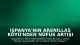 İspanya'nın Arenillas Köyü'nden Nüfus Artışı İçin Yeni Yerleşim Programı