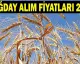 2026 Buğday ve Hububat Alım Fiyatları Henüz Açıklanmadı