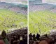 Celtic Taraftarı Sahaya İndi, Şampiyonluk Tehlikeye Girdi