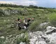 Hatay'da Traktör Kazası: 1 Ölü
