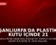 Şanlıurfa'da Plastik Kutu İçinde 21 Cenin Bulundu