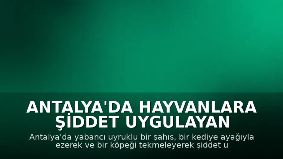 Antalya'da Hayvanlara Şiddet Uygulayan Yabancı Uyruklu Şahıs Gözaltına Alındı