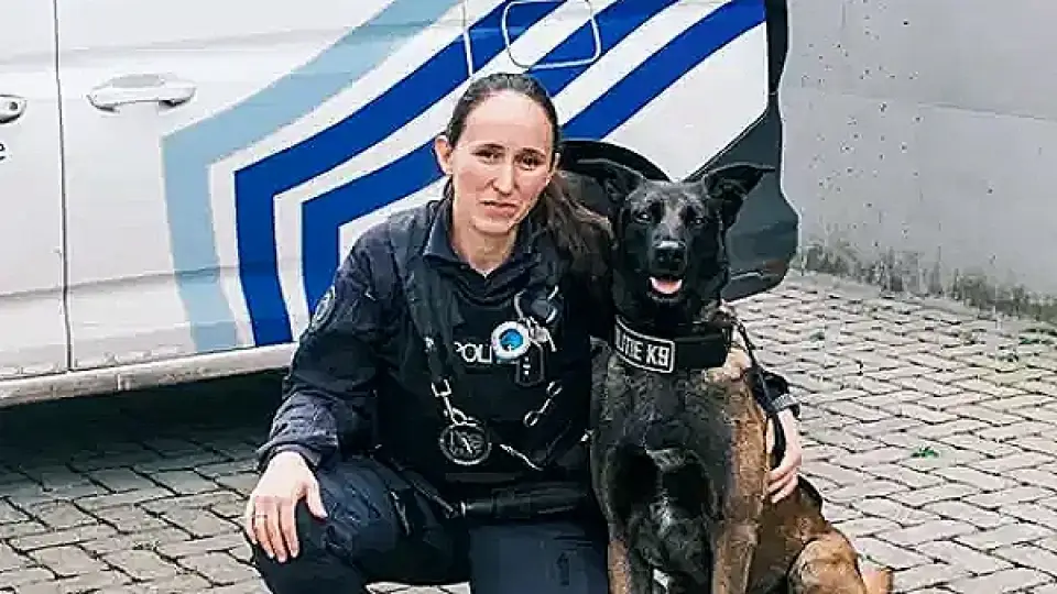Belçika'da Köpeklere Özel Menü Sunan Beach Bar Açıldı