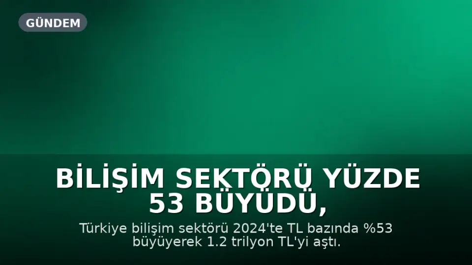 Bilişim Sektörü Yüzde 53 Büyüdü, Küresel Pastadan Aldığı Pay Artmadı