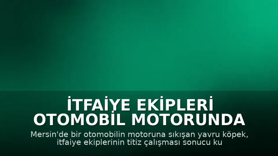 İtfaiye Ekipleri Otomobil Motorunda Sıkışan Yavru Köpeği Kurtardı