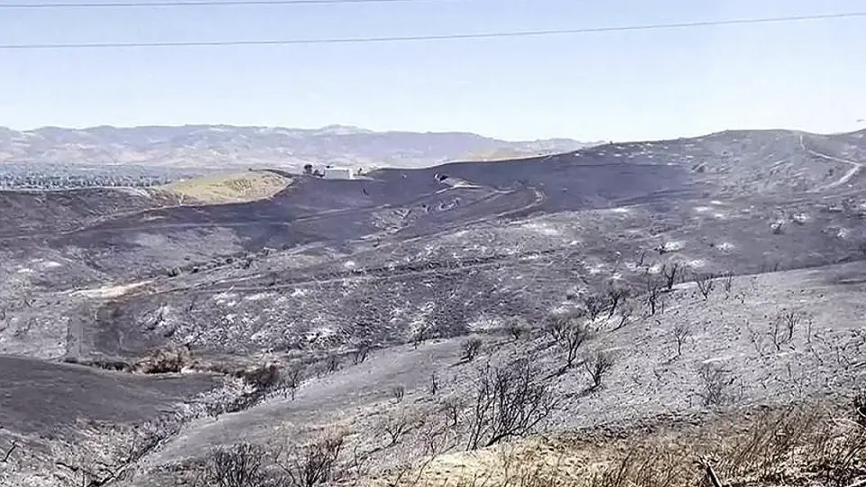 Kaliforniya'da Orman Yangını Günlerdir Sürüyor, Binlerce Kişi Tahliye Edildi