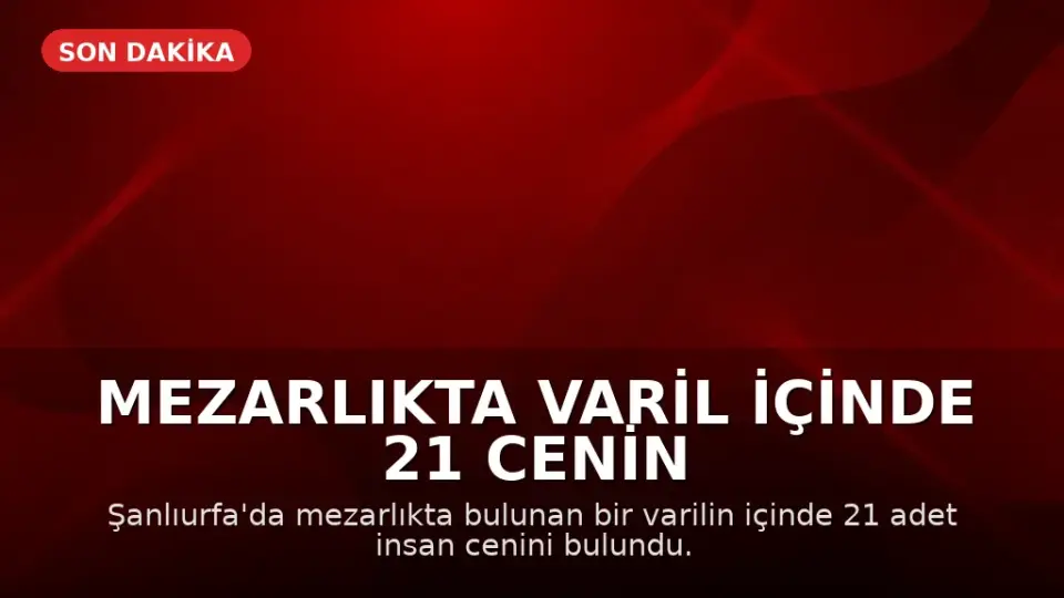 Mezarlıkta Varil İçinde 21 Cenin Bulundu