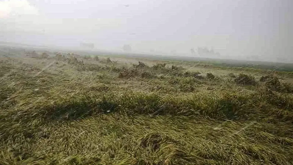 Osmaniye'de Sağanak Nedeniyle Sular Altında Kalan Evden Yaşlı Kadın Kurtarıldı