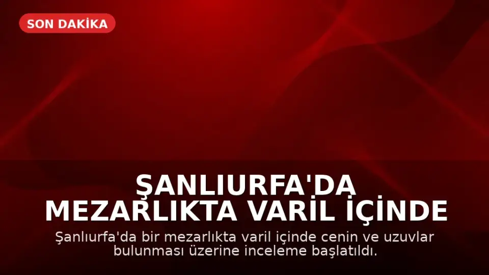 Şanlıurfa'da Mezarlıkta Varil İçinde Cenin Bulunmasıyla İlgili İnceleme Başlatıldı