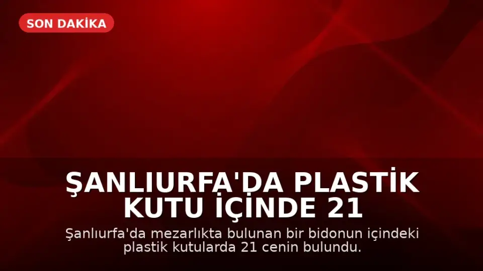 Şanlıurfa'da Plastik Kutu İçinde 21 Cenin Bulundu