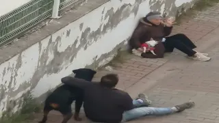 Ümraniye'de Ağızlıksız Rottweiler Küçük Köpeğe Saldırdı