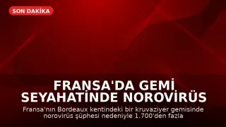 Fransa'da Gemi Seyahatinde Norovirüs Endişesi: 1700 Kişi Karantinada