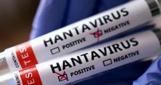 Hantavirüs Endişesi: Arjantin'den Gelen 3 Türk Vatandaşı Karantinada