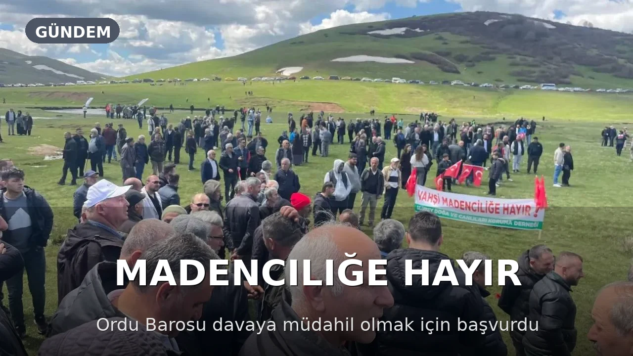 Ordu Barosu'ndan Perşembe Yaylası Maden Davasına Müdahil Olma Talebi